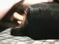 Gay beastiality riding a dog's cock